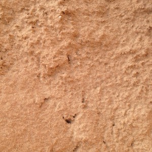 Red Building Sand