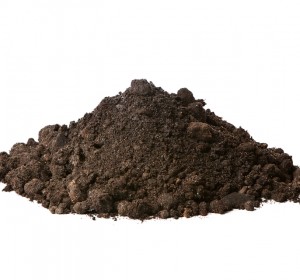 Topsoil - Premier 