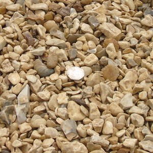 Yorkshire Cream 20mm