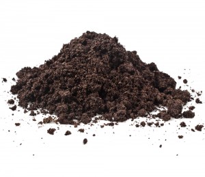 Topsoil - Premier Vegetable