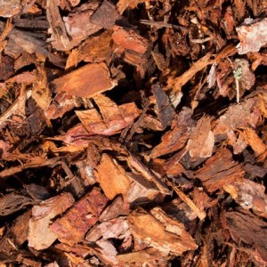 Ornamental Bark Chippings Bulk Bag