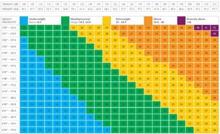 163センチ55キロの体型とは？Bmi・見た目・健康的な体重の真実
