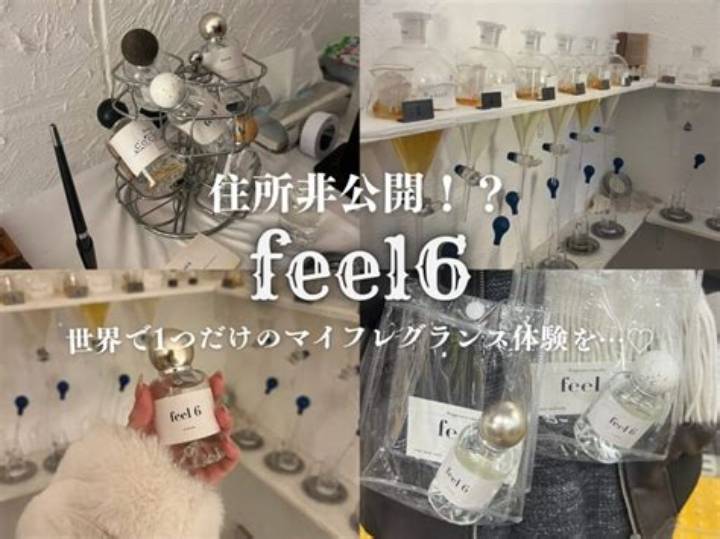 What Is Feel6? the Ultimate Guide to This Innovative Platform