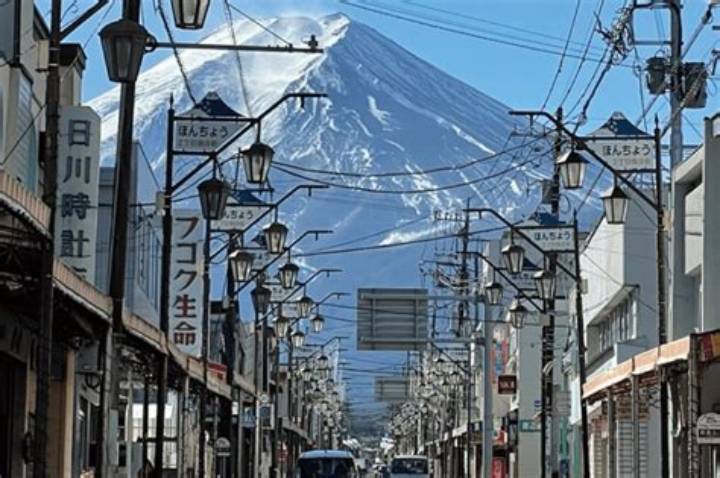 富士市のお土産おすすめ15選！絶品しらす・限定スイーツから名産茶まで網羅