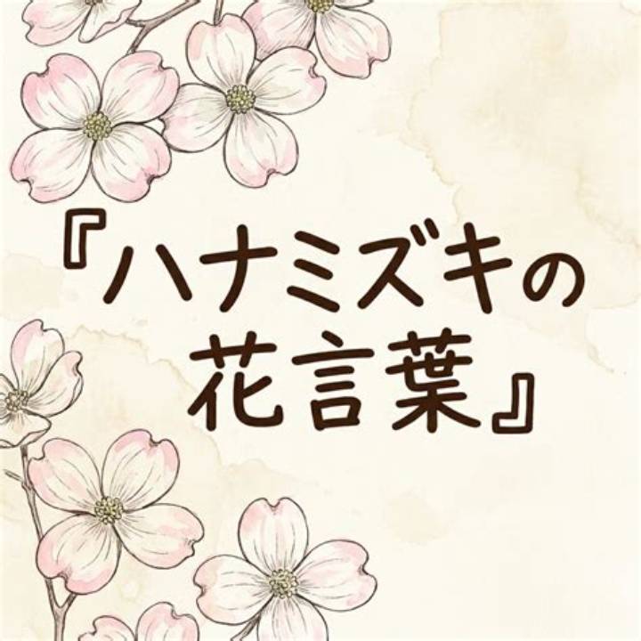 ハナミズキの花言葉とは? 由来から贈る場面まで徹底解説