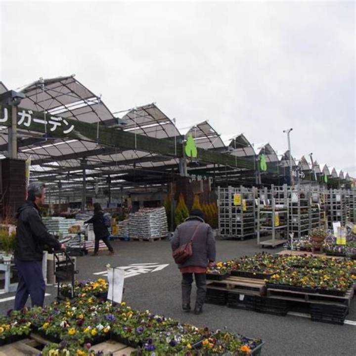 伊木山ガーデンのチラシでお得を完全網羅！最新セール情報と園芸・直売所の活用術