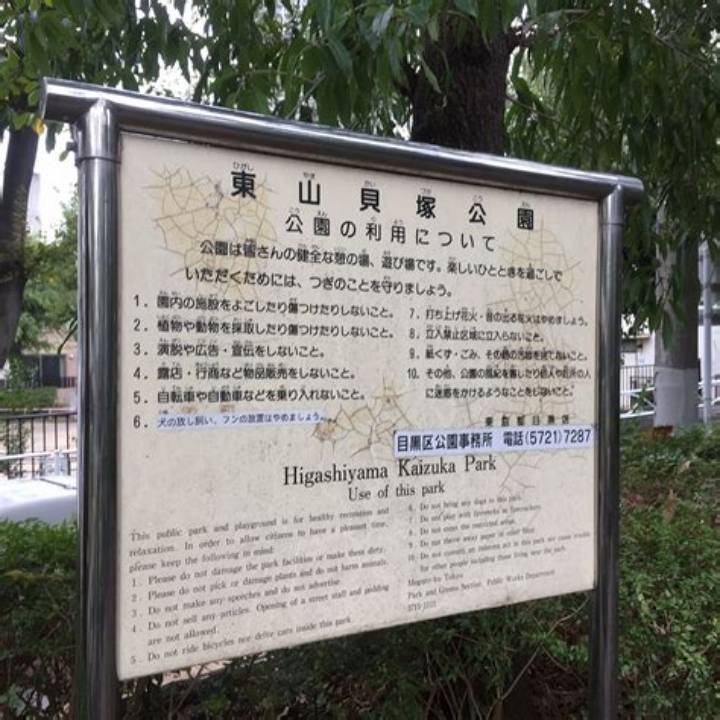 目黒・東山エリアの住宅「3号棟」を読む——暮らし目線の見どころ