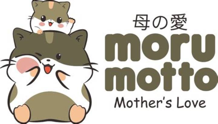 モルモット繁殖の真実: 知られざるリスクと責任ある飼育法