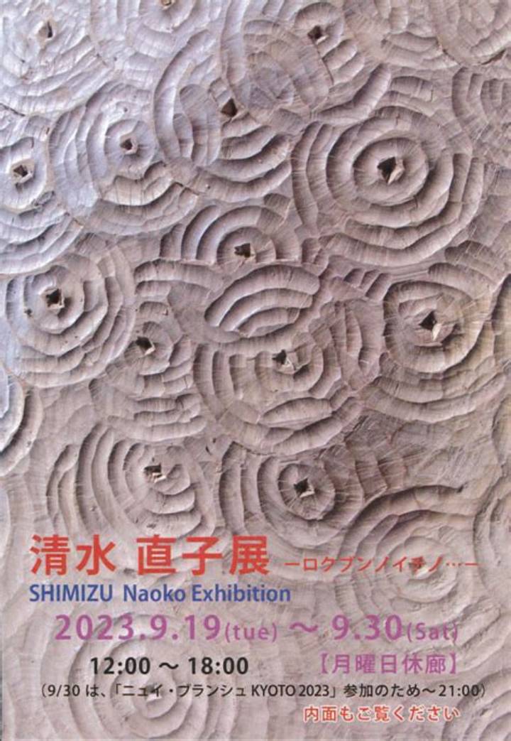 清水なお子が紡ぐ染付の美：京都の工房から広がる伝統技法と日常を彩るうつわの真実